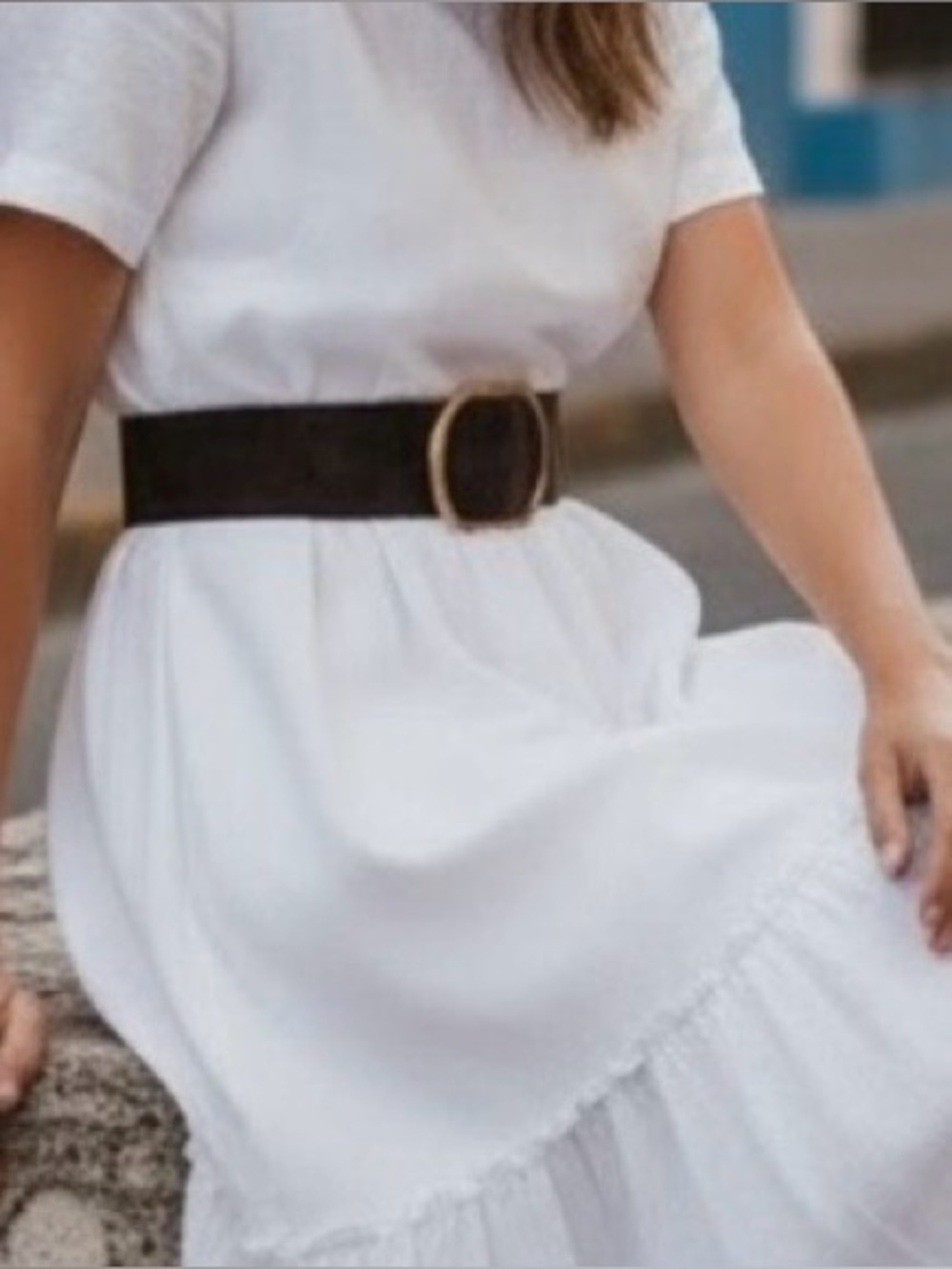 Brown Wide Waist Belt Gold Tone Buckle Quiet Luxury Style